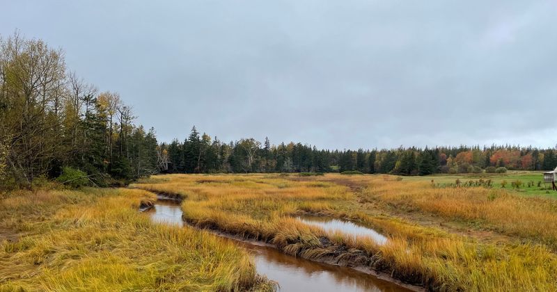 Иллюстрация к тексту «Мой путь в Канаду»